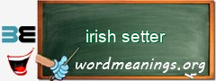 WordMeaning blackboard for irish setter